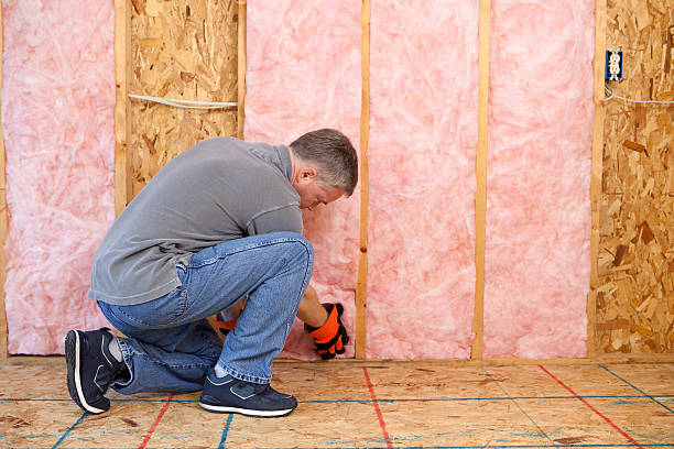 Best Attic Insulation Installation  in Greene, IA