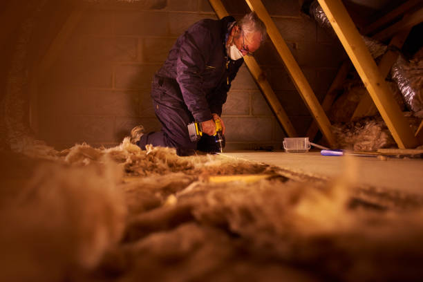 Best Insulation Contractors for Homes  in Greene, IA